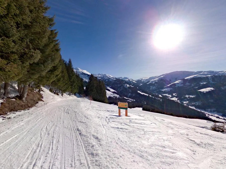 Pano Rundblick Schrandl1